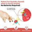 Dog Ball for Aggressive Chewers,Interactive Dog Toy Balls Fun Squeaky Sound to Keep Them Busy,Rubber Pet Chew Toys,As Seen on TV