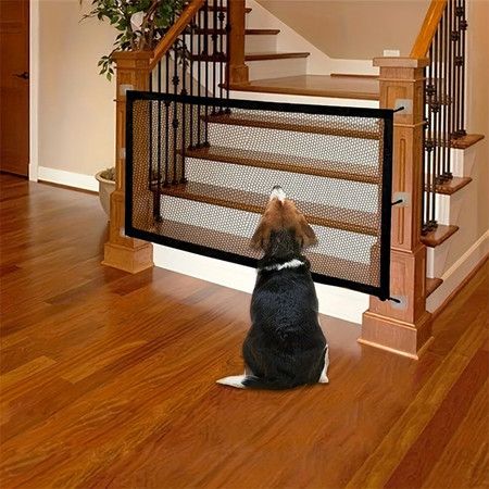 https://img.bestdeals.co.nz/products_pictures/883/88326_856998_F.jpg