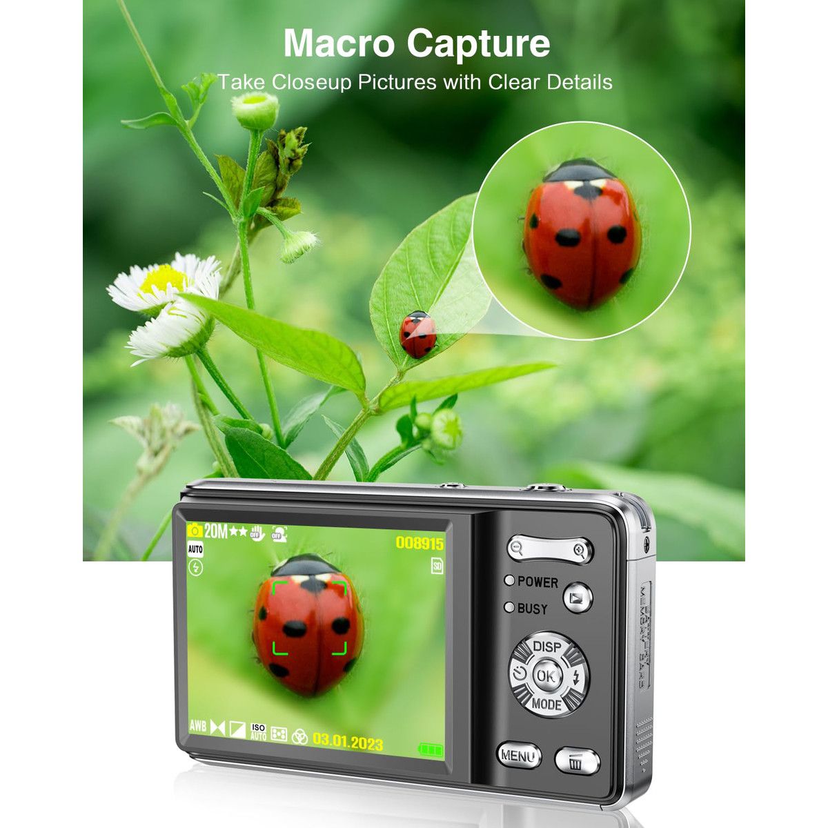 https://img.bestdeals.co.nz/products_pictures/883/88328_857030_F.jpg