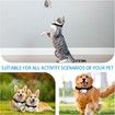 128GB Dog Cat Camera Collar, 1080P Collar Camera Mini Body for Pets, Action Recorder for Cats and Dogs, Dog Tracker Cam Collar Outdoor or Indoor, White
