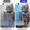 128GB Dog Cat Camera Collar, 1080P Collar Camera Mini Body for Pets, Action Recorder for Cats and Dogs, Dog Tracker Cam Collar Outdoor or Indoor, White