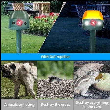 https://img.bestdeals.co.nz/products_pictures/884/88423_858084_F.jpg