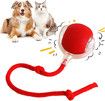 Interactive Cat Dog Ball, 360 Degree Automatic Rotating Ball with USB Charging for Cats and Dogs Color Red
