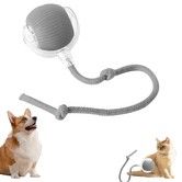 Interactive Cat Dog Ball, 360 Degree Automatic Rotating Ball with USB Charging for Cats and Dogs Color Grey