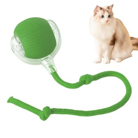 Interactive Cat Dog Ball, 360 Degree Automatic Rotating Ball with USB Charging for Cats and Dogs Color Green
