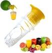 2 Pack Small Portable Manual Lemon Orange Juicer