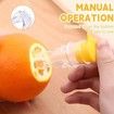 2 Pack Small Portable Manual Lemon Orange Juicer
