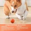 Interactive Dog Ball Toy, Self Rolling Ball, Interactive Dog Cat Ball Toy for Boredom Indoors Outdoors, Dog Toy Ball (Orange)