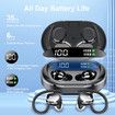 Wireless Earbuds, HiFi Stereo Bluetooth 5.3 Running Headphones with Dual LED Display, Bluetooth Earphones with Earhooks for Sport, Black