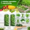 Herb Saver for Refrigerator,Herb Storage Container Cilantro Container for Fridge,Fresh Herb Keeper,Keeps Greens Vegetables for 2-3 Weeks (2PCS)