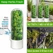 Herb Saver for Refrigerator,Herb Storage Container Cilantro Container for Fridge,Fresh Herb Keeper,Keeps Greens Vegetables for 2-3 Weeks (2PCS)