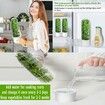 Herb Saver for Refrigerator,Herb Storage Container Cilantro Container for Fridge,Fresh Herb Keeper,Keeps Greens Vegetables for 2-3 Weeks (2PCS)