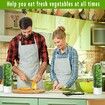 Herb Saver for Refrigerator,Herb Storage Container Cilantro Container for Fridge,Fresh Herb Keeper,Keeps Greens Vegetables for 2-3 Weeks (2PCS)