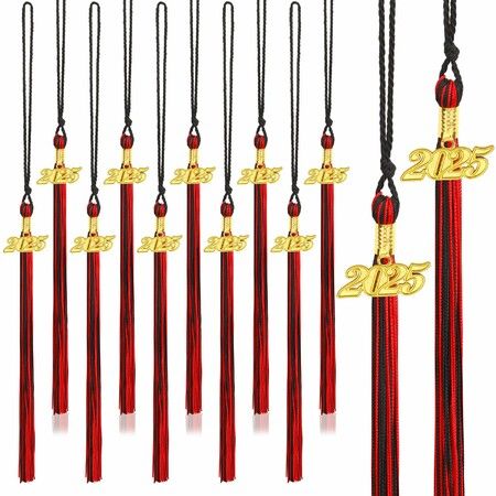 20Pcs Graduation Tassels Academic Graduation Cap Hat Tassel with 2025 Gold Charm for 2025 Graduation Ceremonies Accessories (Black Red)
