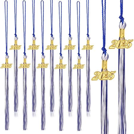 20Pcs Graduation Tassels Academic Graduation Cap Hat Tassel with 2025 Gold Charm for 2025 Graduation Ceremonies Accessories (Blue White)