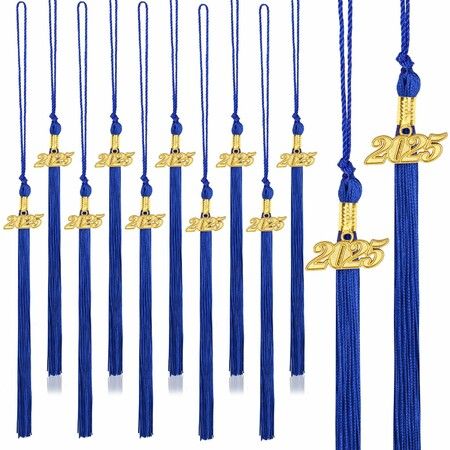 20Pcs Graduation Tassels Academic Graduation Cap Hat Tassel with 2025 Gold Charm for 2025 Graduation Ceremonies Accessories (Blue)