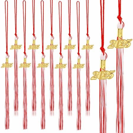 20Pcs Graduation Tassels Academic Graduation Cap Hat Tassel with 2025 Gold Charm for 2025 Graduation Ceremonies Accessories (Red White)
