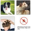 3 PCS Tick Remover Tool, Plastic Painlessly Tick Remover Portable for Dogs Cats Humans