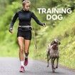 Hands Free Dog Leash, Adjustable Waist Belt with Double Padded Handles,Retractable Bungee for Medium Large Dogs for Dog Walking Running(Pink)