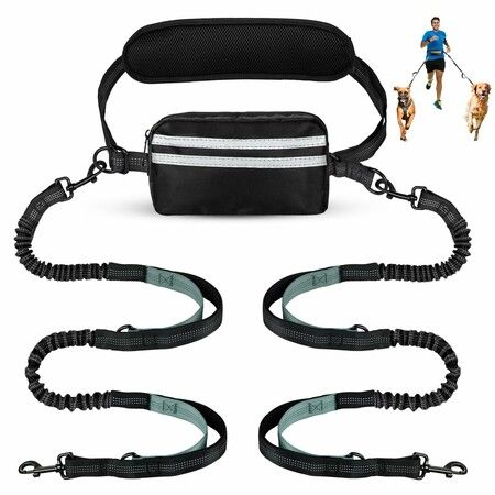 Hands Free Dog Leash with Pouch,Double Leash for Two Dogs Retractable Bungee with Double Padded Handles for Dog Walking Running Leash for Dogs,Green