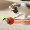 Speedy 3.0 Tail Upgrade Speedy 3.0 Tail Cat Toy, Turbo Smart Interactive Cat Ball for Indoor, Automatic Moving Smart Toys withTail Two Speed Adjustment