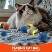 Speedy 3.0 Tail Upgrade Speedy 3.0 Tail Cat Toy, Turbo Smart Interactive Cat Ball for Indoor, Automatic Moving Smart Toys withTail Two Speed Adjustment