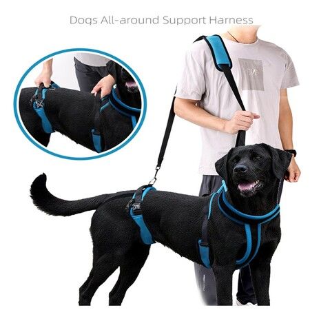 Dog Lifting Harness,Adjustable Shoulder Hip Harness with Handle and Shoulder Strap, Support Hind Legs  for Elderly Dogs, Hip Dysplasia-Size L