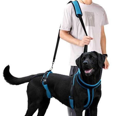 Dog Lifting Harness,Adjustable Shoulder Hip Harness with Handle and Shoulder Strap, Support Hind Legs  for Elderly Dogs, Hip Dysplasia-Size M