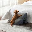 Pawz 2 Steps Pet Stairs Dog Ramp High Density Foam Grey