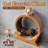 Cat Exercise Wheel Toy Running Exerciser Treadmill Scratching Furniture Scratcher Board Roller Indoor Kitten Play Gym Kitty Training Sports Equipment