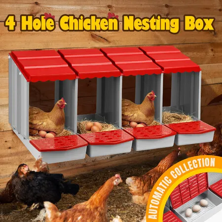 Chicken Nesting Box 4 Hole Chook Hen Poultry Roll Away Out Laying Boxes Inside Outside Hutch Modular House Coop Egg Nest Lay Perch Brooder Plastic