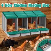 4 Hole Chicken Nesting Box Chook Hen Roll Away Out Laying Boxes Poultry Hutch Modular House Egg Nest Coop Lay Perch Brooder Plastic Inside Outside