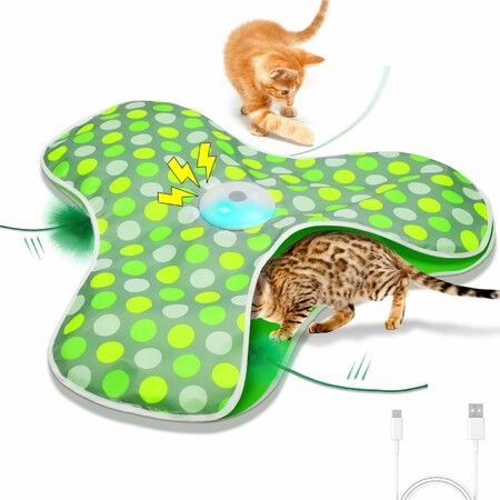 Interactive Cat Toys Rechargeable,Moving Concealed Feathers,Real Mouse Squeaky,Touch Activated Cat Kitten Toy Exercise Toys