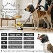 Dog Calming Hoodie Quiet Ear Cover for Noise Protection Anxiety Relief Ear Muffs, Head Circle Length: 35.6cm to 48.3cm, Grey, Medium