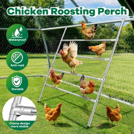 Chicken Bird Perch Roosting Bars Ladder Climbing Frame Farm Backyard Play Activity Chick Hen Coop House Run Poultry Pet Parrot 4 Tier Galvanized Pipe
