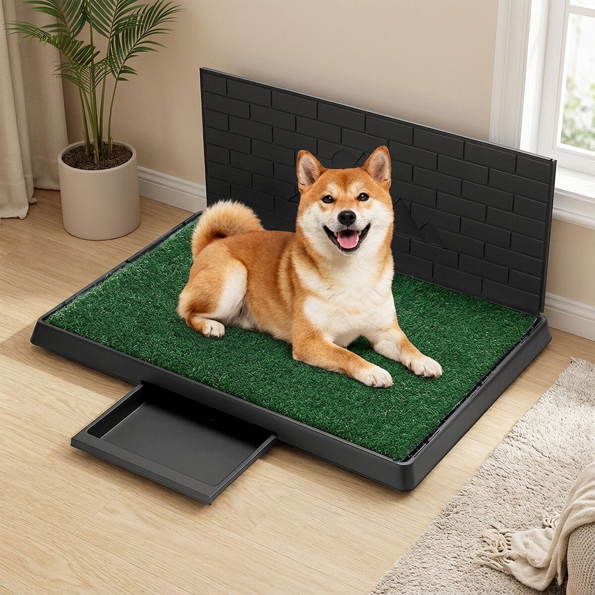 https://img.bestdeals.co.nz/products_pictures/992/99210_972379_F.jpg