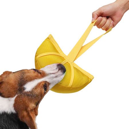 Interactive Snaffle Toy Dog Interactive Soft Sniffing Hole Digger Toys Reusable Chew Toys for Small,Medium,Large Dogs(Yellow)