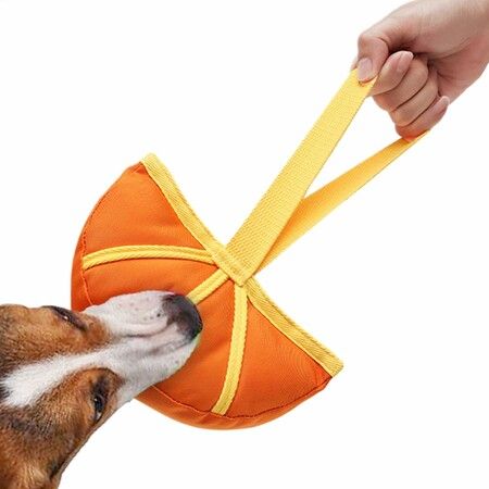Interactive Snaffle Toy Dog Interactive Soft Sniffing Hole Digger Toys Reusable Chew Toys for Small,Medium,Large Dogs(Orange)